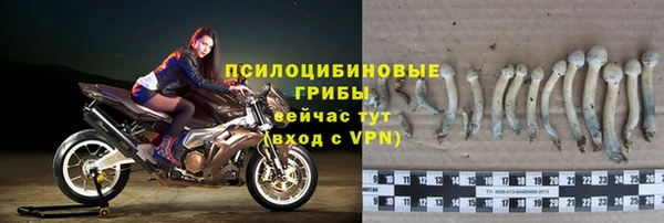 гидропоника Новодвинск