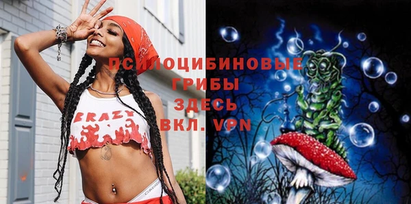 гидропоника Новодвинск