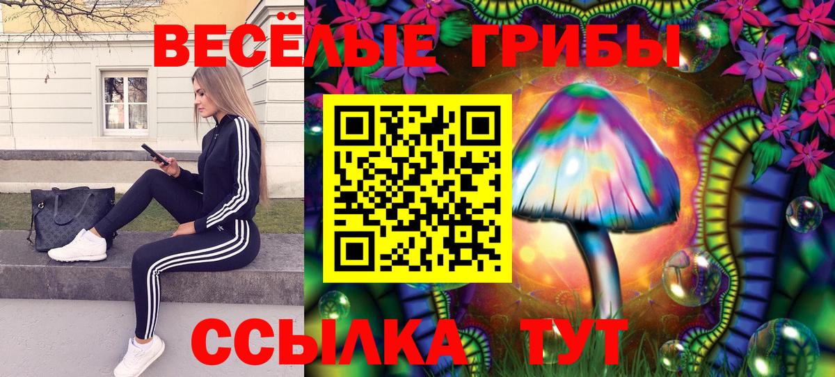 Галлюциногенные грибы мицелий Переславль-Залесский