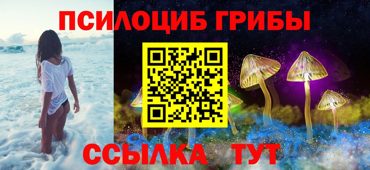 Переславль-Залесский  Псилоцибиновые грибы MAGIC MUSHROOMS  Вход с VPN 