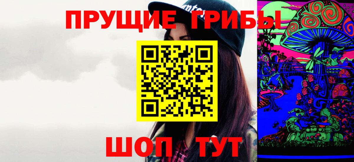 Меф Переславль-Залесский